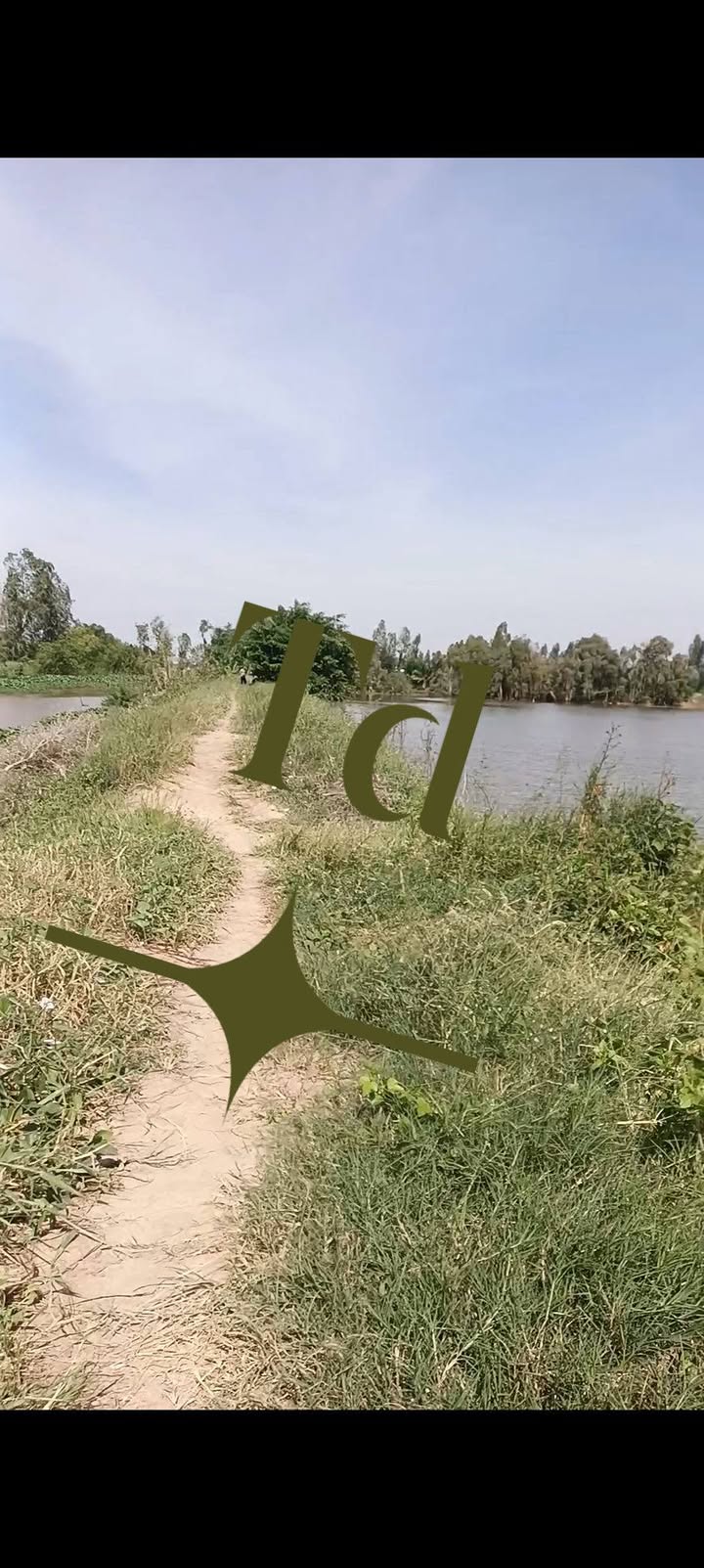 Đất nông nghiệp Phú Cường, Tam Nông, 250.000m² giá 2.75 tỷ - Cơ hội đầu tư hấp dẫn!