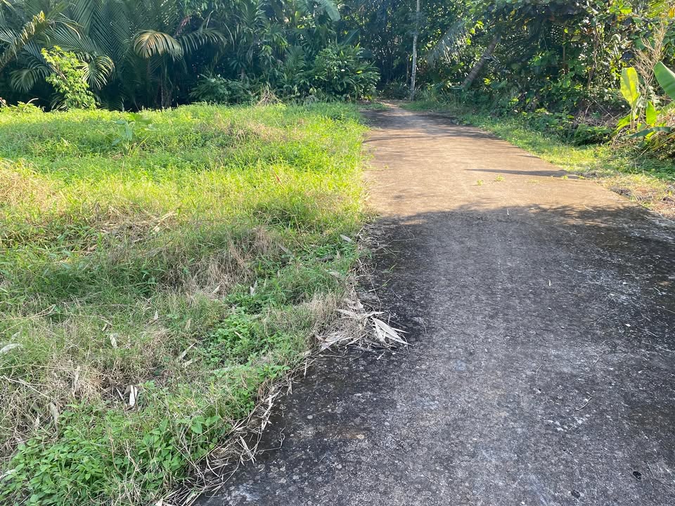 Đất nền 110m² tại thị trấn Cầu Kè, Trà Vinh - Giá chỉ 140 triệu, có thương lượng!