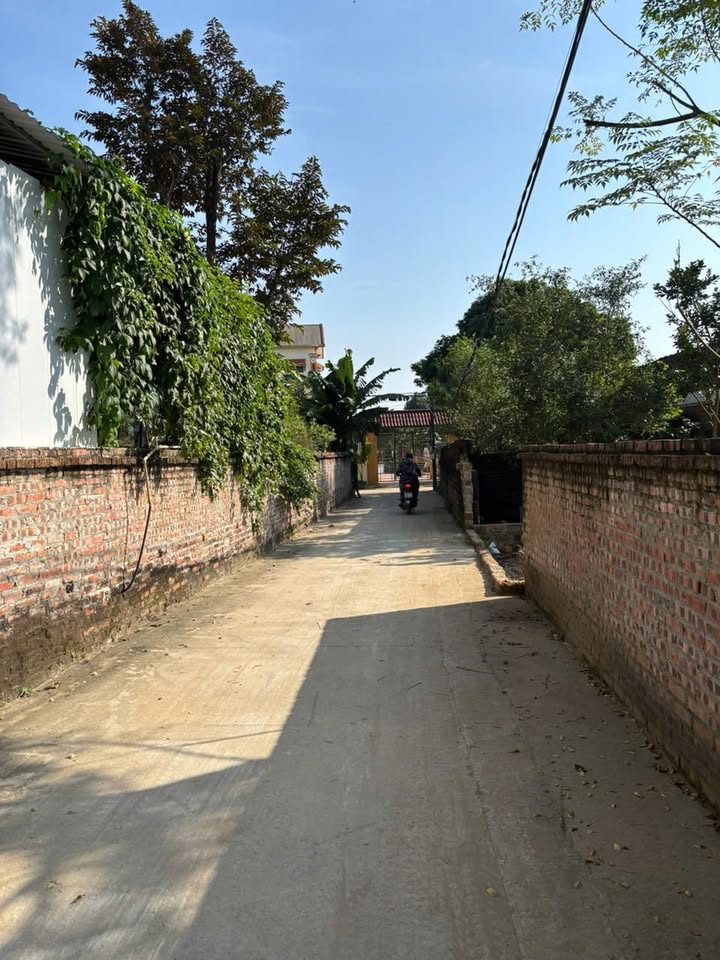 Đất thổ cư 122m² tại Thôn Vân Lôi, Hoà Lạc - Giá chỉ 300 triệu, đầu tư sinh lời ngay!