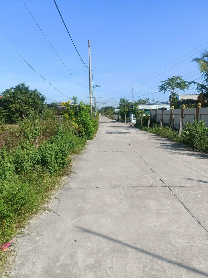 Đất thổ cư 582m² tại thôn Thanh Linh, La Gi chỉ 582 triệu - Cơ hội đầu tư vàng!