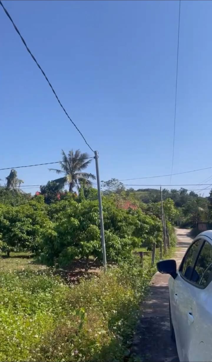 Đất thổ cư Khu Du lịch Sinh thái Hồ Bầu Tiên 1000m² giá 900 triệu - Cơ hội đầu tư tuyệt vời!