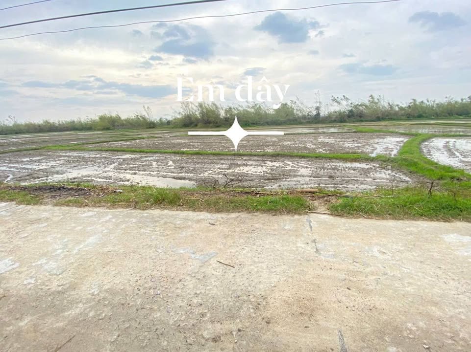 Đất trồng lúa Cát Tân, Phù Cát, 1000m² giá chỉ từ 20 triệu - Cơ hội đầu tư tốt!