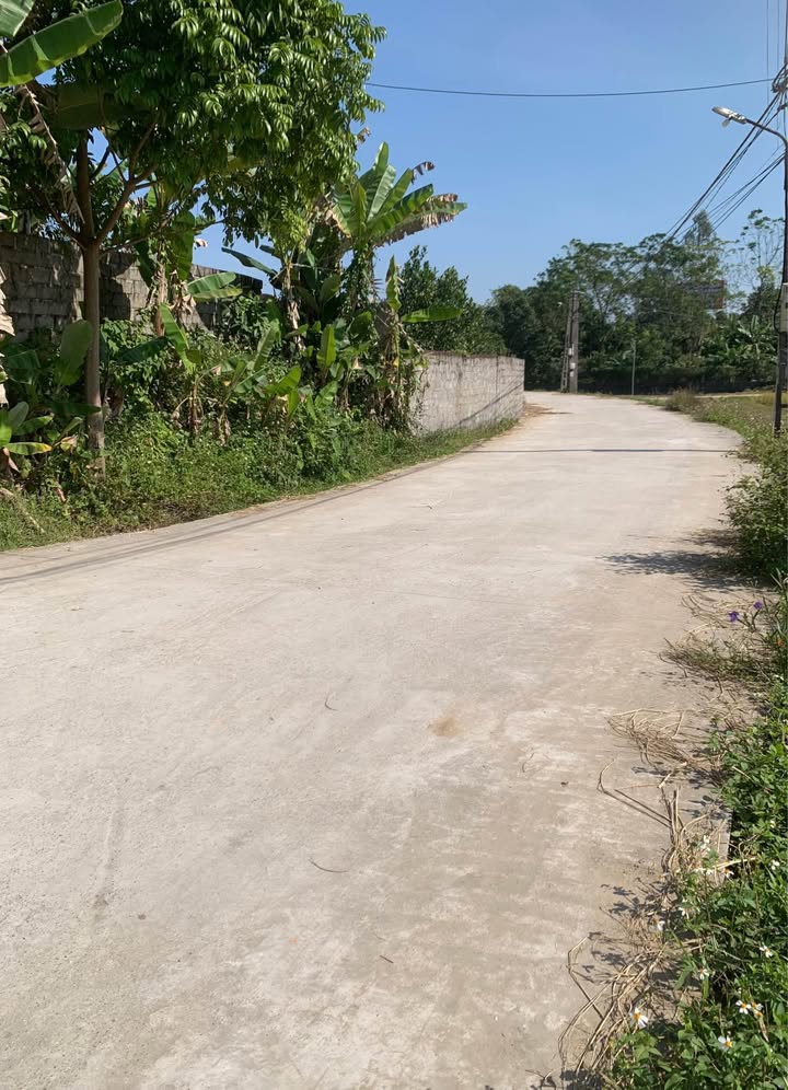 Bán đất làm vườn tại Tân Quang, Sông Công 4000m² - Đầu tư nghỉ dưỡng lý tưởng!