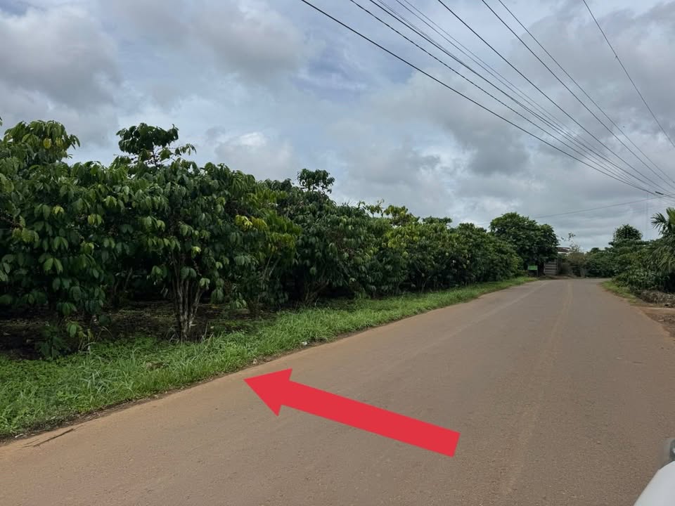 Đất nền 3000m² đường Mạc Thị Bưởi, Bảo Lộc - Giá 15 tỷ, đầu tư sinh lời!