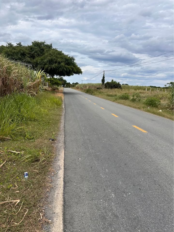 Đất thổ cư Cam Phước Đông 1.1ha giá 16 tỷ - Mặt tiền đường bê tông