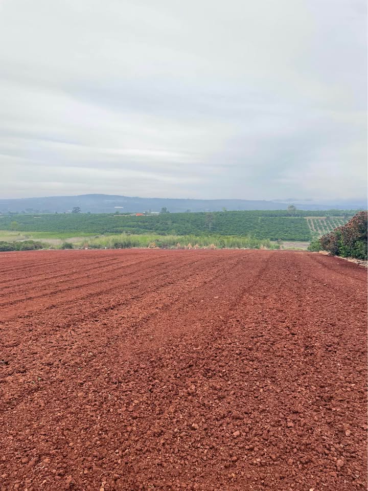 Đất nông nghiệp 1.8ha Tân Hội Đức Trọng - Đầu tư sinh lời chỉ 7.2 tỷ!