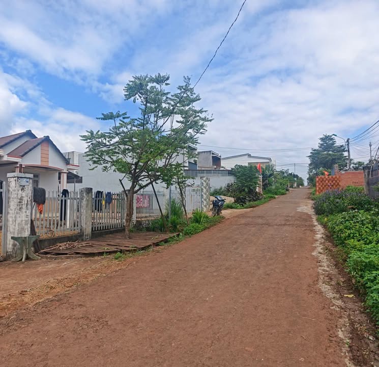 Đất thổ cư 520m² tại Thôn 6 Cư Êbur - Giá 4.2 tỷ, vị trí đẹp gần tỉnh lộ!