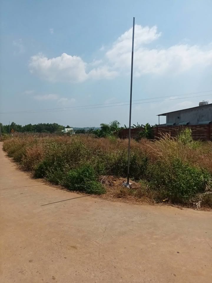 Đất phân lô Nghĩa Thành, Châu Đức 990m² - Lô góc 2 mặt tiền đường bê tông