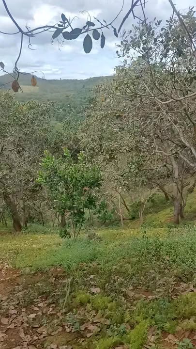 Đất nền 30.000m² xã Bình Minh giá 800 triệu - Cơ hội đầu tư sinh lời!