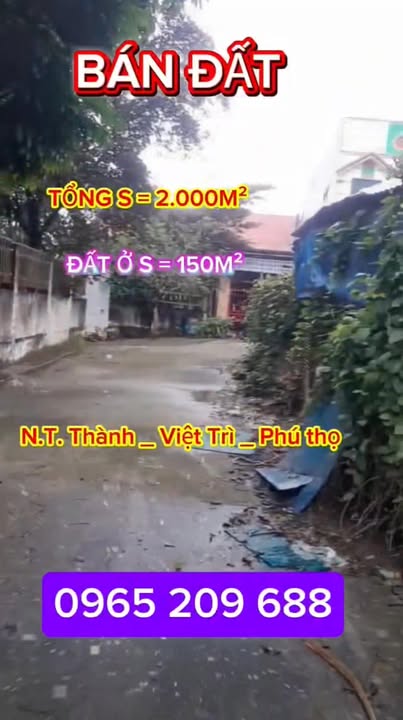Đất nền 2000m² khu phố 6 Vân Phú, Việt Trì, Phú Thọ giá 12.5 tỷ - Cơ hội đầu tư tuyệt vời!
