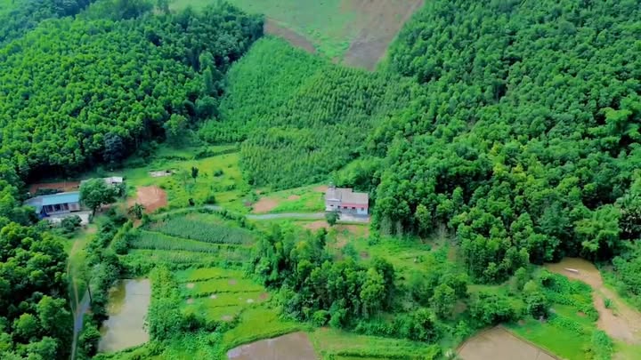 Đất Farm Yên Lập Phú Thọ 6000m² giá 800 triệu - Phù hợp nghỉ dưỡng và trang trại!