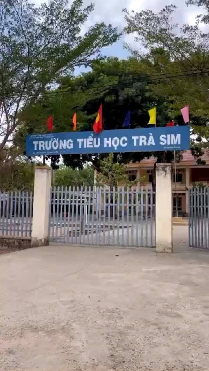 Đất nền Ninh Điền Châu Thành 3718m² giá 1.5 tỷ - Hạ giá bán nhanh!