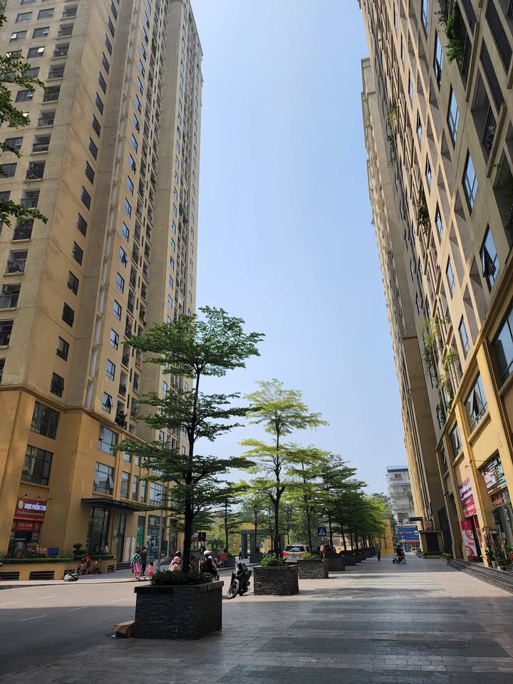 Căn hộ cho thuê tại chung cư Lilama 52 Lĩnh Nam - Giá chỉ từ 9 triệu/tháng!