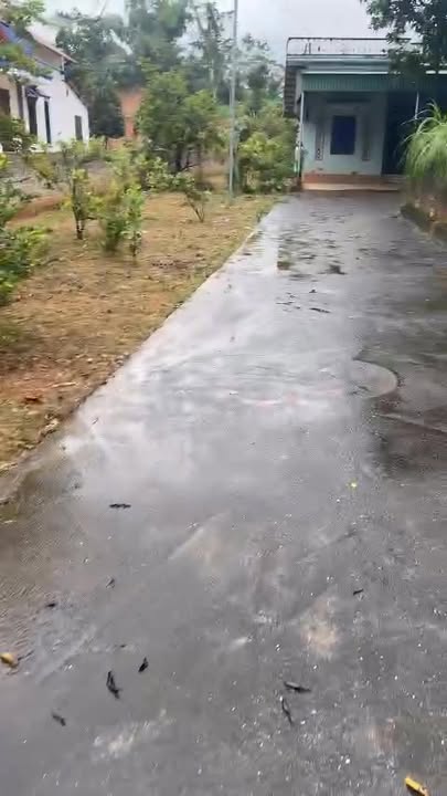 Đất nền đẹp tại Khu phố 8, xã Cự Thắng, 1.927m² - Đầu tư sinh lời hấp dẫn!