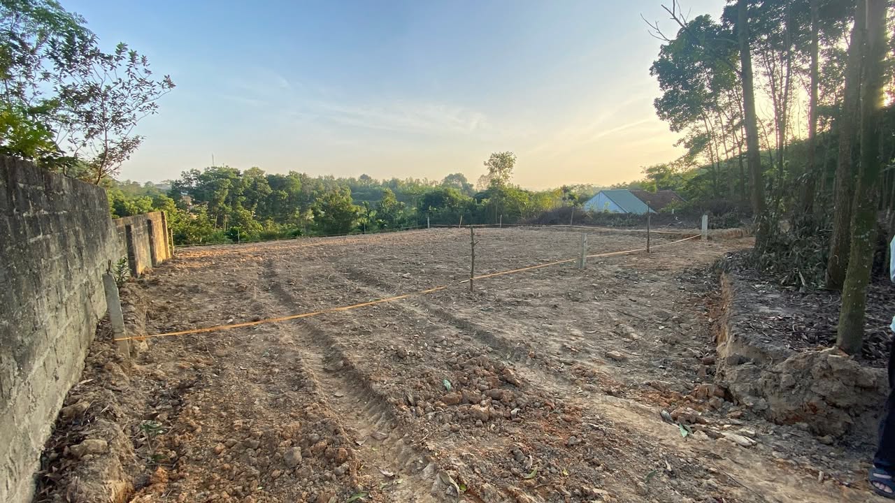 Đất thổ cư 300m² tại Đông Thành, Thanh Ba - Giá chỉ vài trăm triệu!