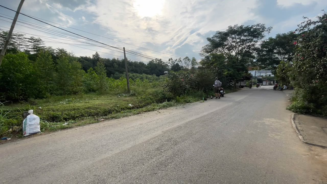 Đất thổ cư Phượng Mao 203m² giá 1 tỷ - Kinh doanh sầm uất ngay mặt đường nhựa!