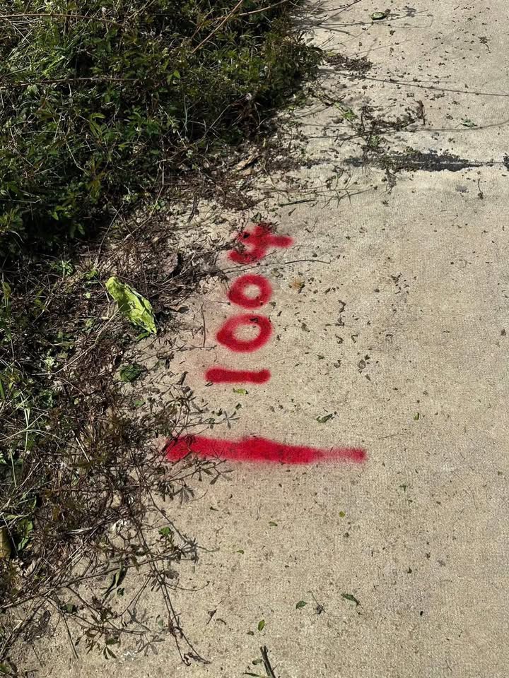 Đất nền liền kề tại thị trấn Phú Phong 280m² giá 2.4 tỷ - Nhanh tay sở hữu!