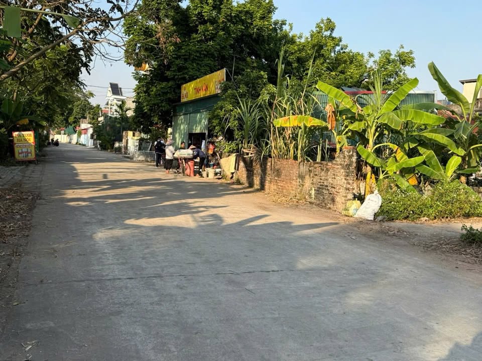 Đất nền thôn Lai Tảo, Bột Xuyên 78m² giá 1 tỷ - Đầu tư sinh lời ngay!