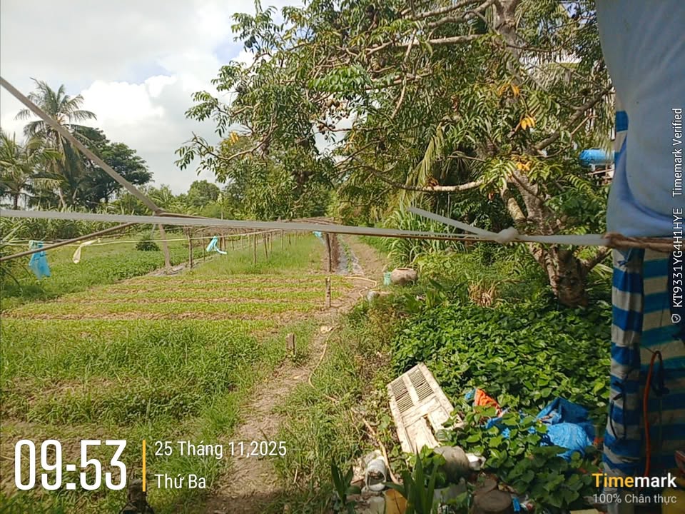 Đất nền 264m² tại Trần Đề, Sóc Trăng giá 720 triệu - Cơ hội đầu tư hấp dẫn!