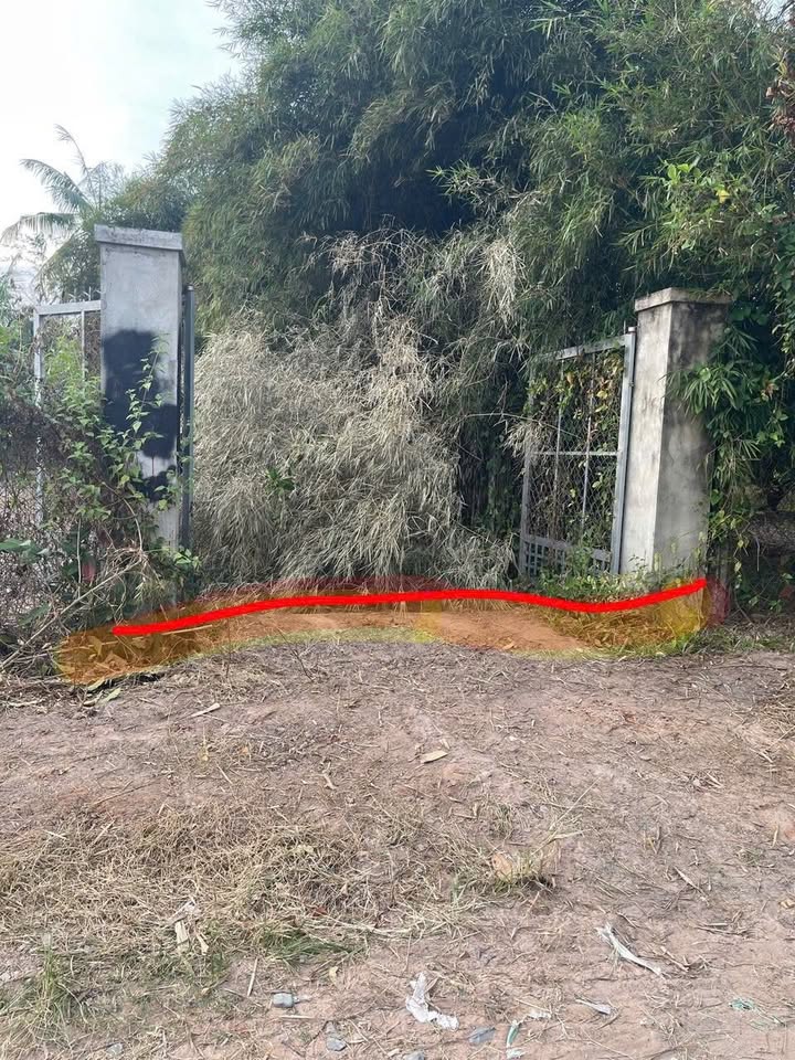 Đất thổ cư Hòa Thành, Tây Ninh 75m² giá 290 triệu - Thông thoáng, vị trí đẹp!