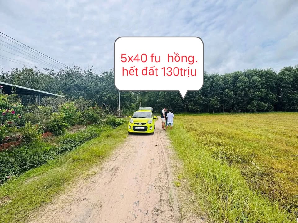 Đất nền Tân Phong Tân Biên 20m² chỉ 130 triệu - Cơ hội đầu tư tuyệt vời!