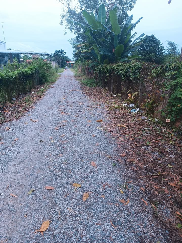 Đất nền Phước Minh DMC 200m² giá 400 triệu - Sổ hồng chính chủ