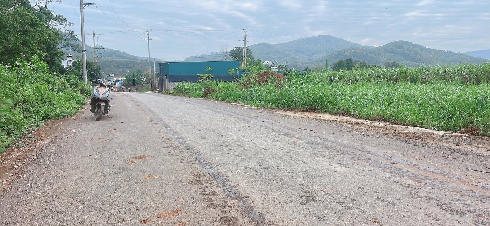 Đất nền Khối Sơn Cường, Thái Hòa 160m² - Đầu tư sinh lời ngay!