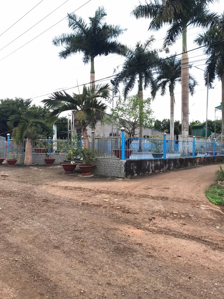 Đất mặt tiền đường 30/4, phường Bình Lộc, 175m² - Cơ hội đầu tư sinh lời!