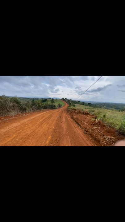 Đất nền 2ha Đắk N'Drung - Sổ hồng chính chủ, mặt tiền đường lớn!