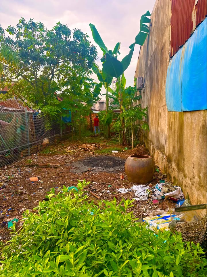 Đất ở khu phố 2, phường Long Bình, Biên Hòa 100m² giá 1.25 tỷ - Sổ đỏ chính chủ!