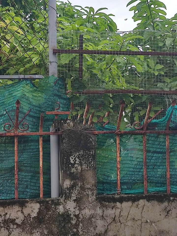 Đất tái định cư Vĩnh Trường Nha Trang 151m² giá 6.5 tỷ - Đầu tư sinh lời!