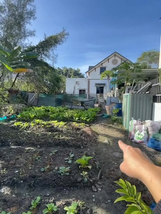 Đất mặt đường Mông Dương 208m² giá 1 tỷ - Cơ hội đầu tư tuyệt vời!