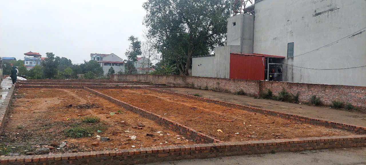 Đất nền Tân Minh, Sóc Sơn 80m² giá 200 triệu - Đường ô tô vào tận nơi!