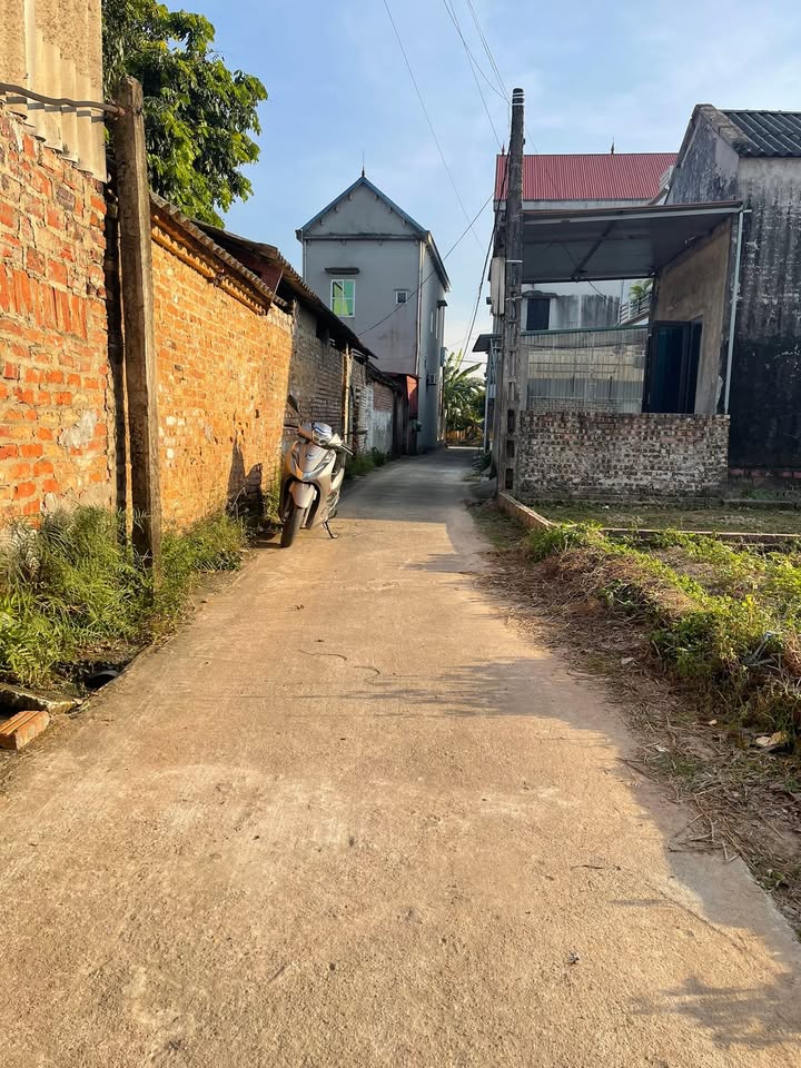 Đất nền Hiền Ninh, Sóc Sơn 48m² giá 1 tỷ - Lô góc 2 mặt tiền ô tô