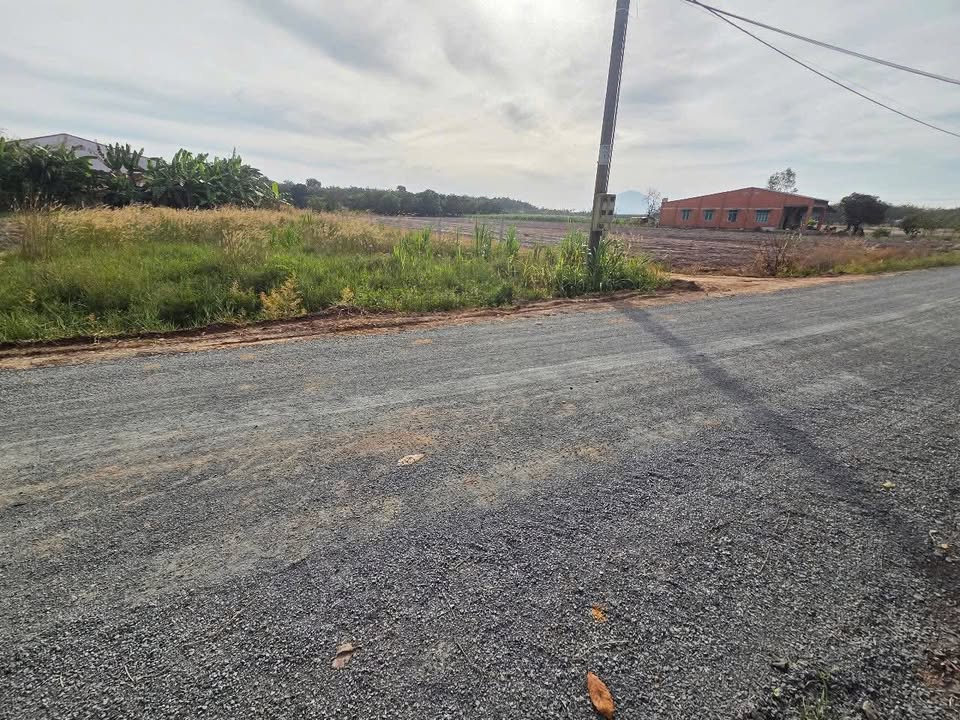 Đất nền Tân Phong Tân Biên 175m² giá chỉ 100 triệu - Cơ hội đầu tư tuyệt vời!