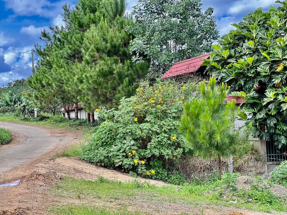 Đất mặt tiền đường B'lao Sê Rê, Lộc Thành 103m² - Giá thỏa thuận hợp lý!