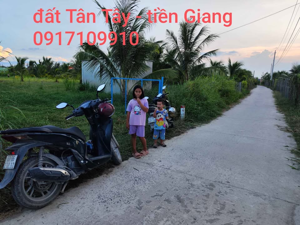 Đất vườn 2000m² tại Tân Tây, Gò Công - Tiềm năng nghỉ dưỡng tuyệt vời!