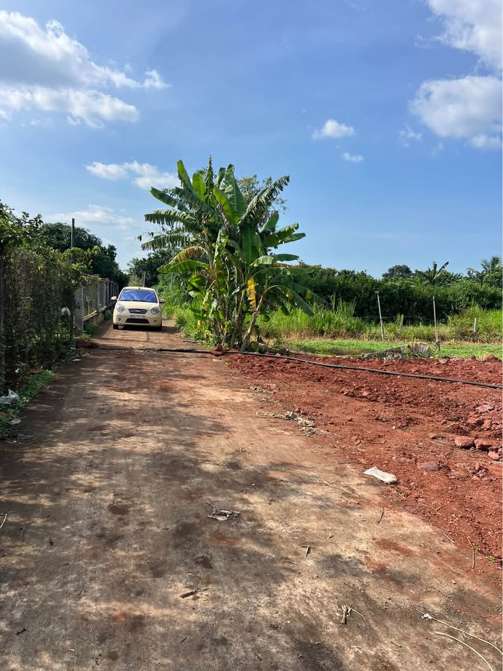 Đất thổ cư Long Thành 100m² giá chỉ 1.25 tỷ - Cơ hội đầu tư tuyệt vời!