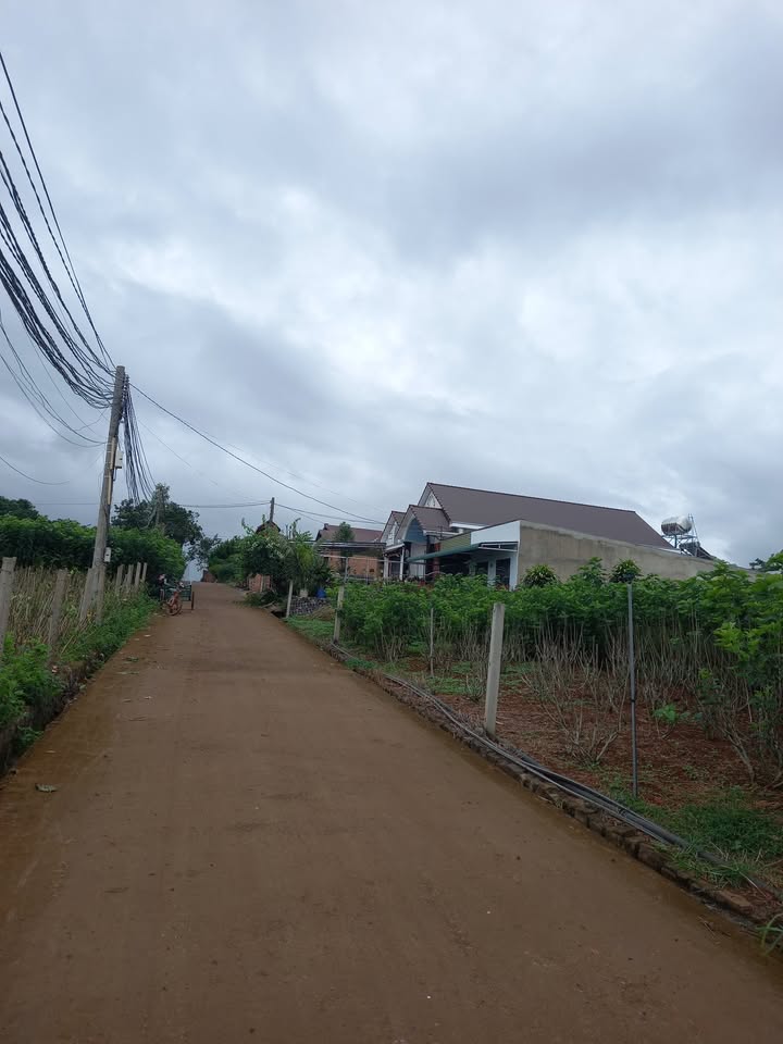 Đất thổ cư Đinh Văn Lâm Hà 150m² - Pháp lý sạch, giá thỏa thuận hấp dẫn!