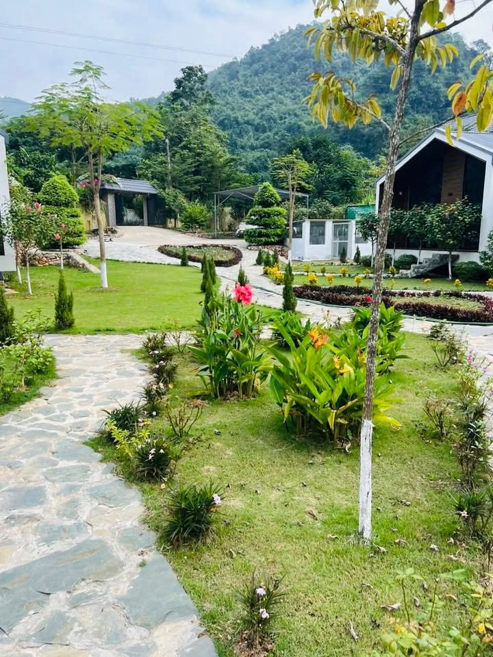 Farm tại Kim Bôi Hòa Bình 3500m² - Cơ hội đầu tư hấp dẫn!