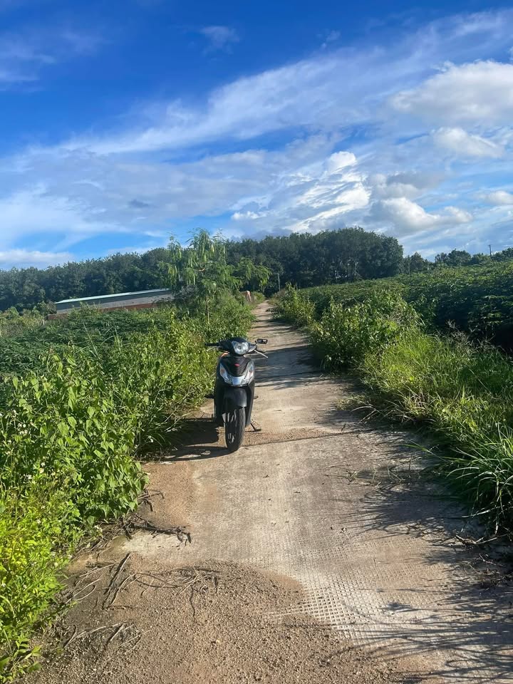 Đất thổ cư Đăk Năng 320m² giá chỉ 2xx - Cơ hội đầu tư tuyệt vời!