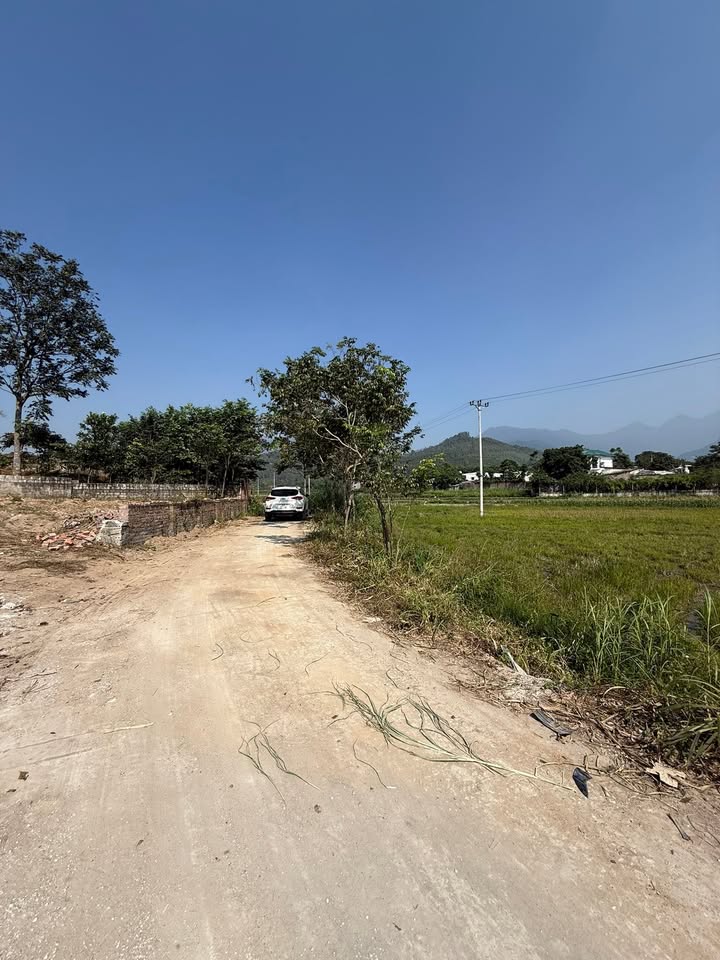 Đất nghỉ dưỡng Đại Đình Tam Đảo 600m² giá thương lượng - View đồng hàng hiếm có!