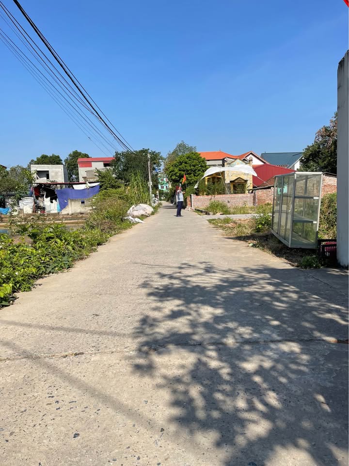 Đất nền chính chủ tại Phường Sông Liễu, Bắc Ninh - Diện tích 100m² chỉ 3 tỷ!