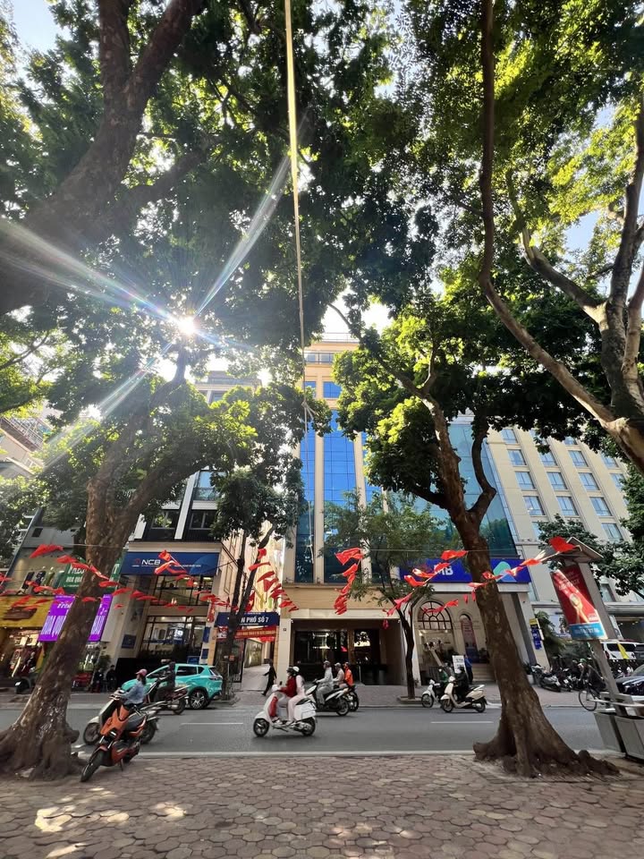 FrontHouse Phan Đình Phùng Ba Đình 34m² giá 19 tỷ - Mặt tiền 4m, vị trí đắc địa!