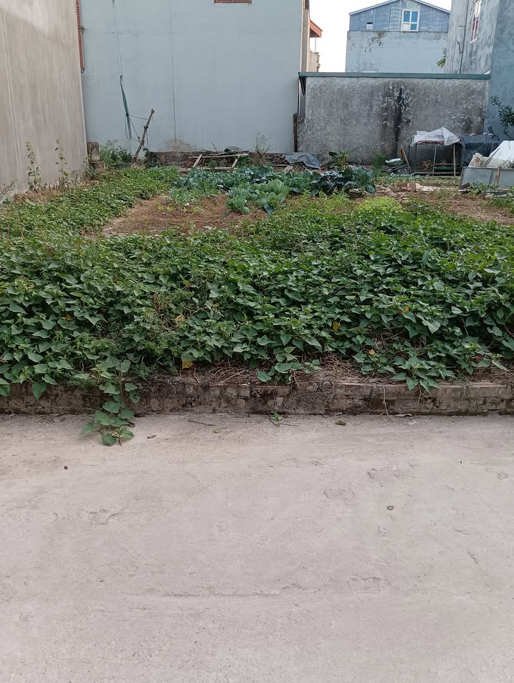 Đất thổ cư 91m² tại thôn Đông Lai, Sóc Sơn - Giá thỏa thuận, pháp lý rõ ràng!