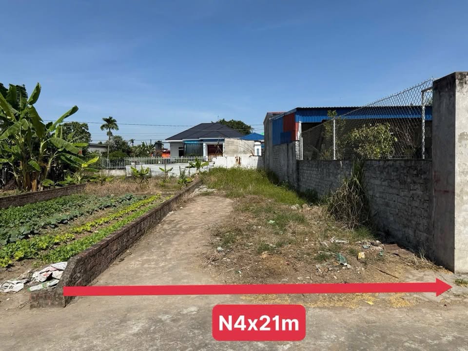 Đất nền Tiên Minh, Tiên Lãng 72.9m² giá chỉ 500 triệu - Ô tô đỗ cửa, đầu tư sinh lời!