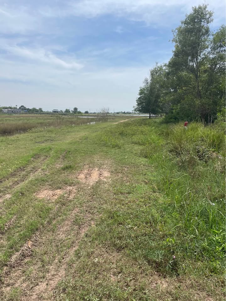 Đất lúa quy hoạch thổ cư 2000m² tại Phường Bình Thuận - Tiềm năng đầu tư lớn!