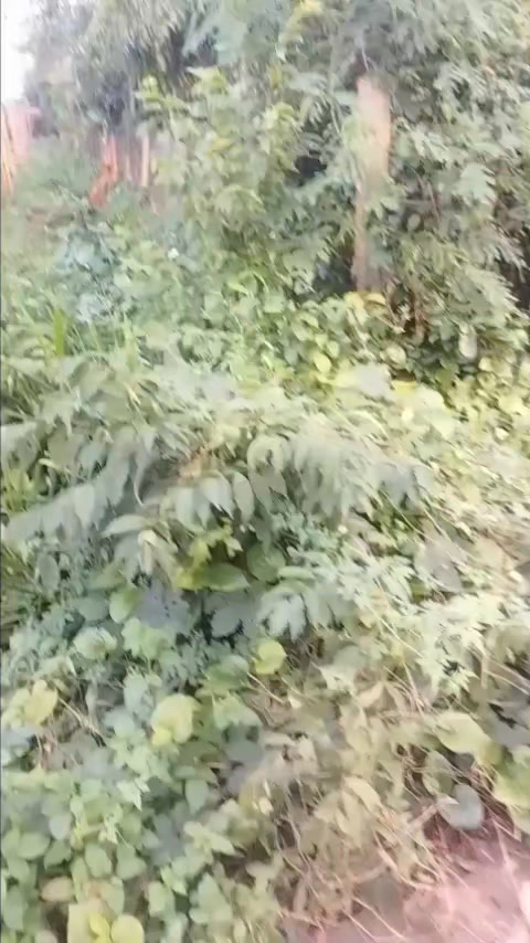 Đất thổ cư Phú Xuân 500m² giá 5 tỷ - Cơ hội đầu tư tuyệt vời!