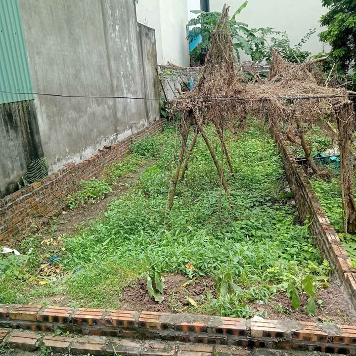 Đất nền Đông Ngạc 50m² - Mặt tiền rộng, gần ô tô tránh!