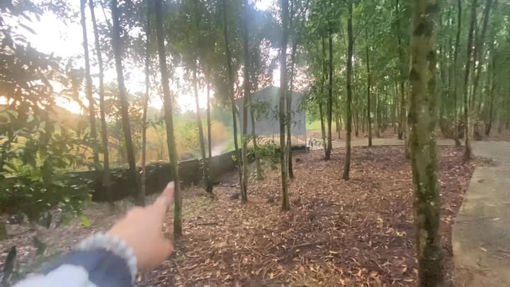 Đất vườn Hưng Thịnh Trảng Bom 13.680m² giá 650 triệu - Sổ hồng chính chủ!